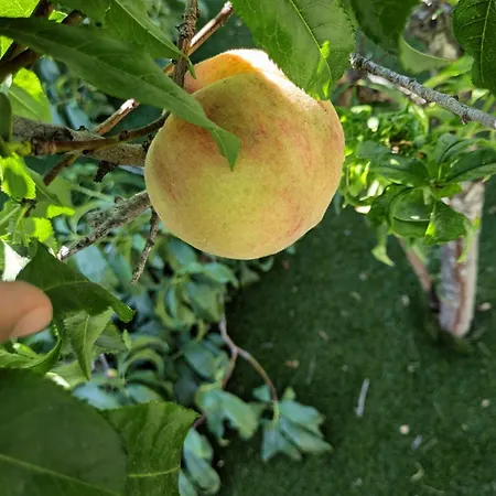 Vivenda Josil - Private Pool 1km To & Centre *