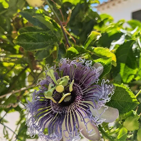 Vivenda Josil - Private Pool 1km To & Centre * Lagos