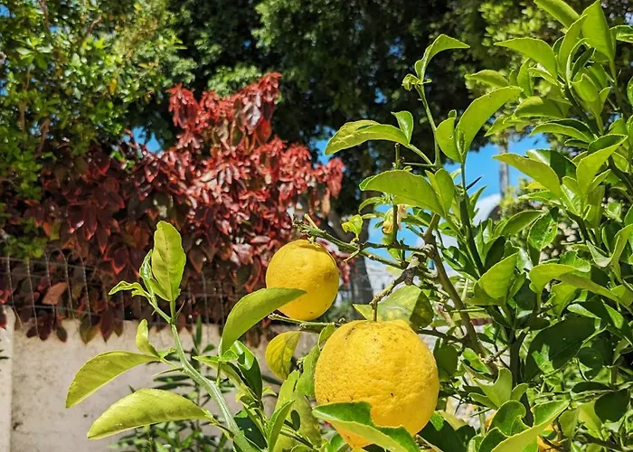 Vivenda Josil - Private Pool 1km To & Centre Semesterbostad *