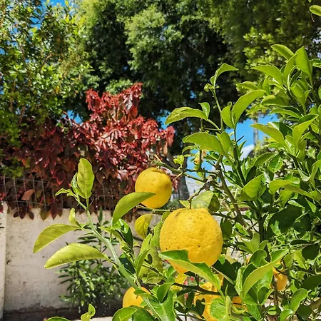 Vivenda Josil - Private Pool 1km To & Centre Holiday home *