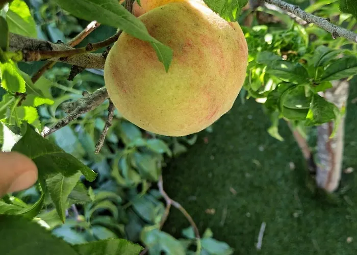 Vivenda Josil - Private Pool 1km To & Centre *