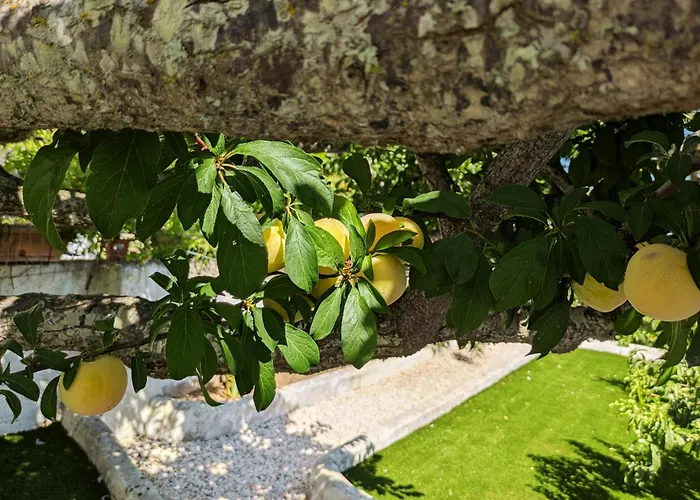 펜션 Vivenda Josil - Private Pool 1km To & Centre