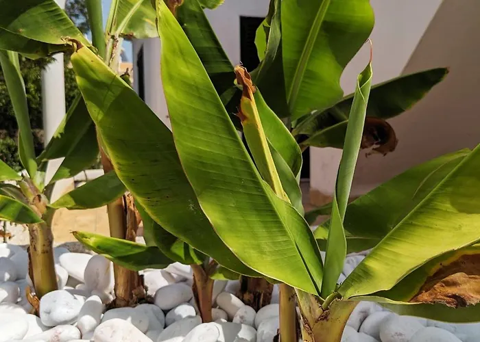 Vivenda Josil - Private Pool 1km To & Centre Prázdninový dům