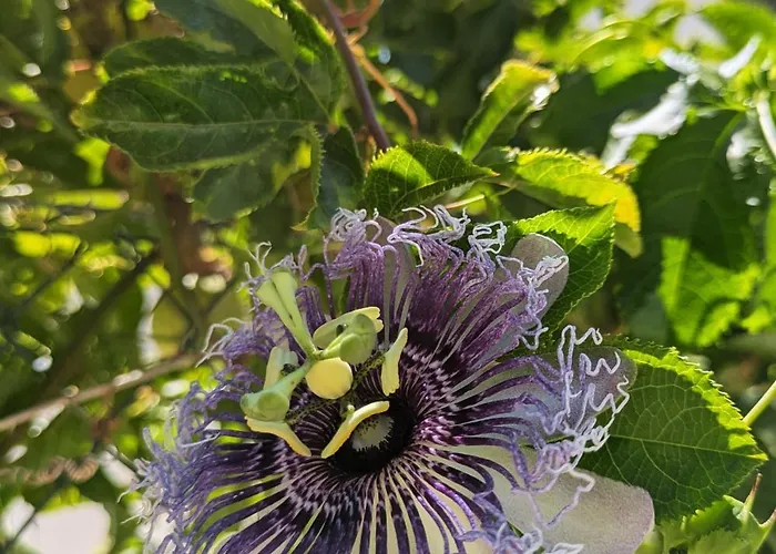 Vivenda Josil - Private Pool 1km To & Centre * 라고스