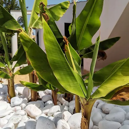 Vivenda Josil - Private Pool 1km To & Centre بيت للعطل